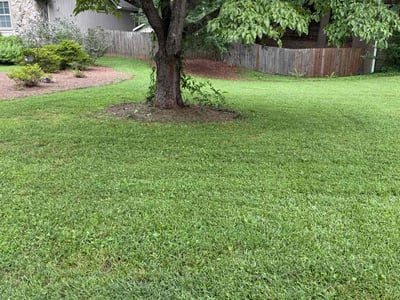 Lawn care service in Marietta, 30067