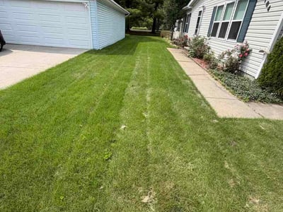 Lawn care service in Lansing, 48906