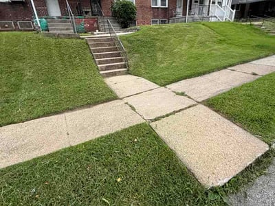 Lawn care service in Baltimore, 21216