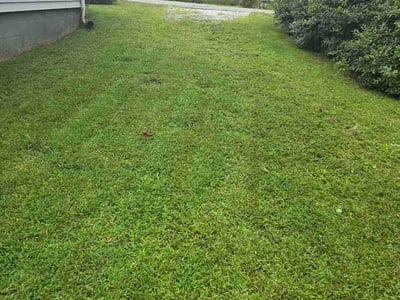 Lawn care service in Morganton, 28655