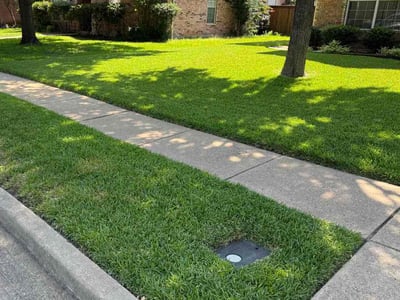 Lawn care service in Richardson, 75082