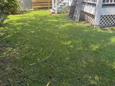Lawn care service in New Orleans, 70119