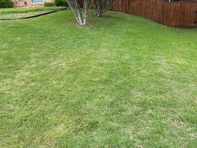 Lawn care service in Rockwall, 75087