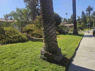 Lawn care service in Riverside, 92506