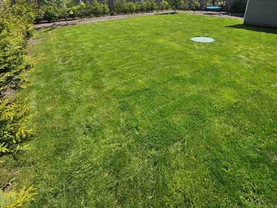 Lawn care service in Puyallup, 98372