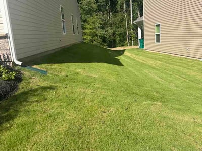 Lawn care service in Charlotte, 28215