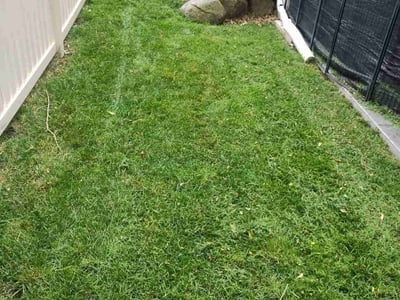 Lawn care service in Madison, 53718