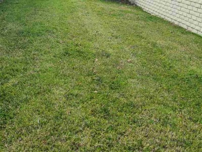Lawn care service in Fort Worth, 76137