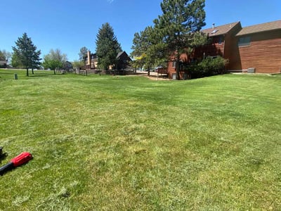 Lawn care service in Parker, 80134