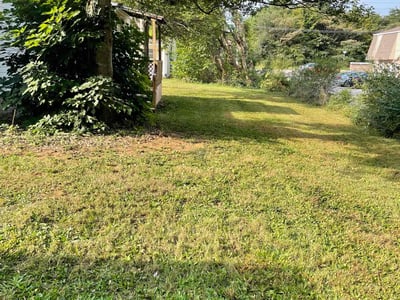Lawn care service in Alcoa, 37701