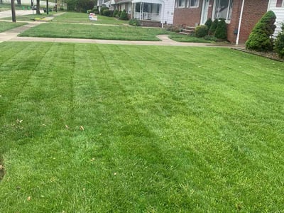 Lawn care service in Wickliffe, 44092