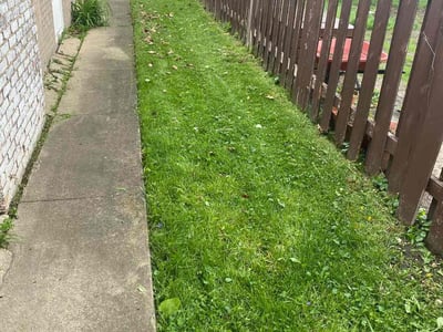 Lawn care service in Brookfield, 60513
