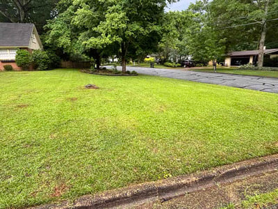 Lawn care service in Auburn, 36830