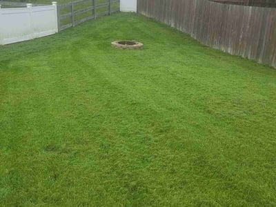 Lawn care service in Mason, 45040