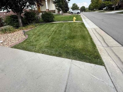 Lawn care service in Aurora, 80016