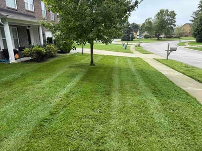 Lawn care service in Avon, 46123