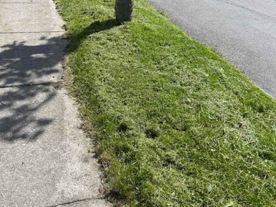 Lawn care service in Rochester, 14621