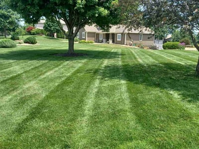 Lawn care service in Kansas City, 66109