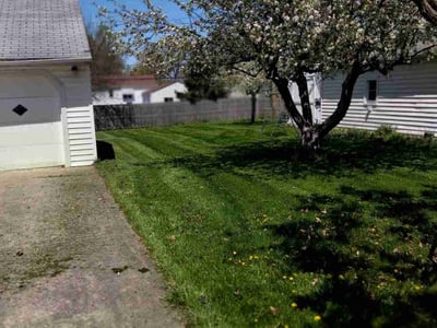 Lawn care service in Parma Heights, 44130