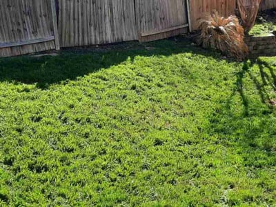 Lawn care service in San Antonio, 78258