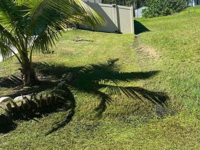 Lawn care service in Palm Bay, 32908