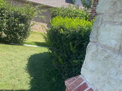 Lawn care service in Flower Mound, 75028