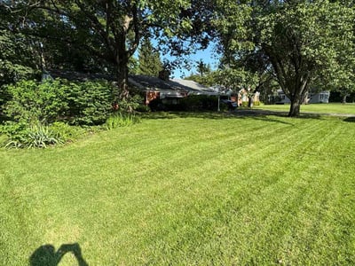 Lawn care service in Dayton, 45459