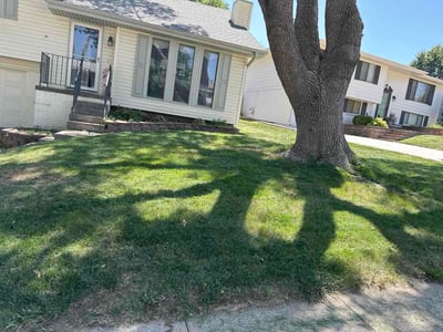 Lawn care service in Omaha, 68138