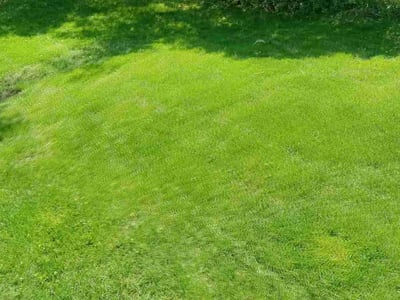 Lawn care service in Ann Arbor, 48108