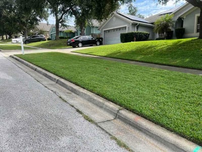 Lawn care service in Clermont, 34711