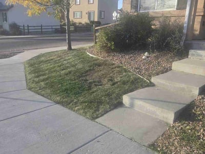 Lawn care service in Colorado Springs, 80921