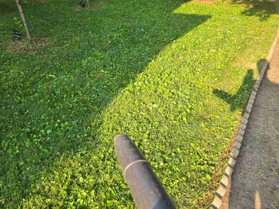 Lawn care service in Cincinnati, 45227