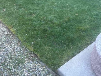 Lawn care service in Denver, 80212