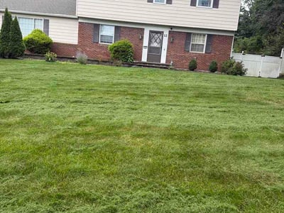 Lawn care service in Ballston Lake, 12019