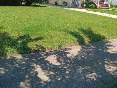 Lawn care service in Baltimore, 21214