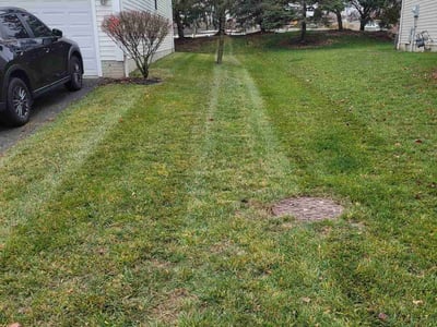 Lawn care service in Grove City, 43123