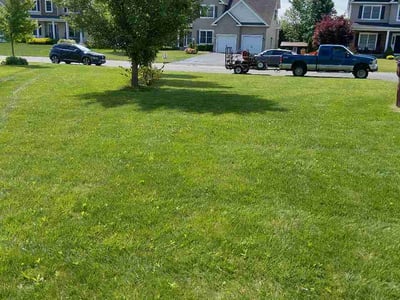 Lawn care service in Mechanicville, 12118