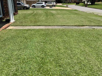 Lawn care service in Tuscaloosa, 35405