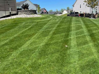 Lawn care service in Grand Rapids, 49525