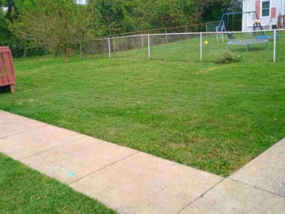 Lawn care service in Louisville, 40272