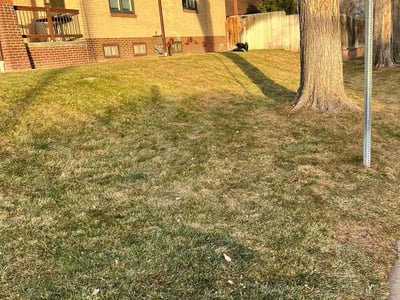 Lawn care service in Denver, 80212