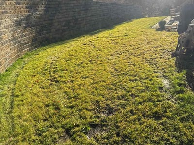 Lawn care service in Cranberry Township, 16066