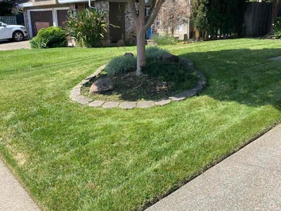 Lawn care service in Rocklin, 95677