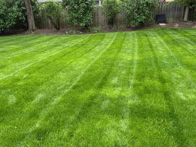 Lawn care service in Strongsville, 44136