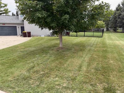 Lawn care service in Delhi charter Township, 48842