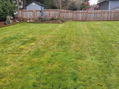 Lawn care service in Kirkland, 98034