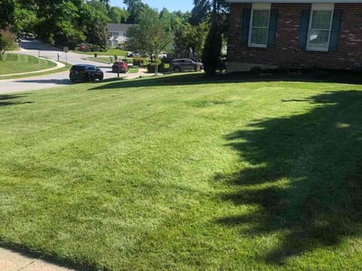 Lawn care service in Bel Air, 21014