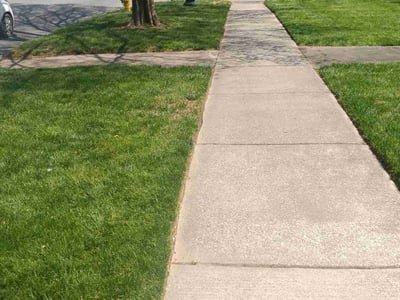 Lawn care service in Charlotte, 28203