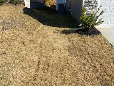 Lawn care service in , 