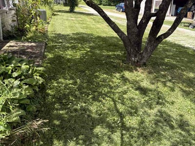 Lawn care service in Bloomington, 47403